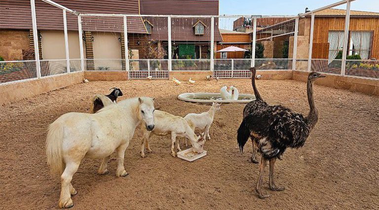 گلدن فارم در هتل 5 ستاره گلدن پالاس مشهد